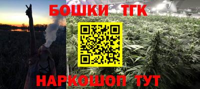 прущие грибы Лесосибирск
